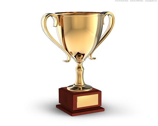 The Blue Knight of the Year &amp; Knighthood Award